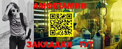 прущие грибы Комсомольск-на-Амуре