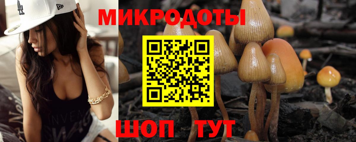 Галлюциногенные грибы GOLDEN TEACHER Кубинка